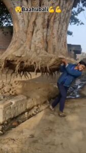 Lifting Home Ai Video Editing