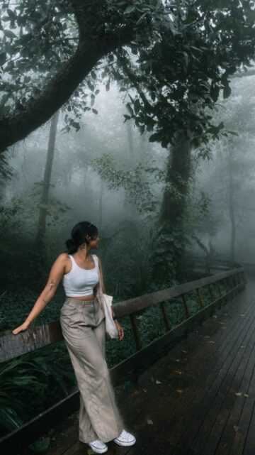 Cinematic Fog AI Photo Editing