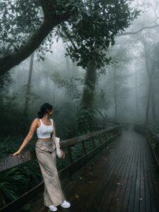 Cinematic Fog AI Prompt